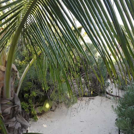Eco Lodge Hotel Villa Tulum Dış mekan fotoğraf