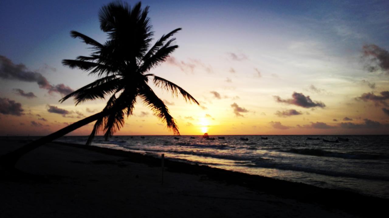 Eco Lodge Hotel Villa Tulum Dış mekan fotoğraf