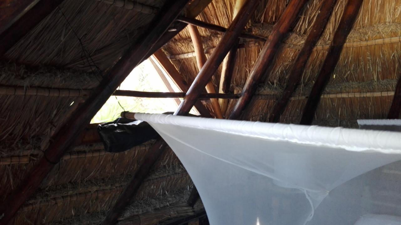 Eco Lodge Hotel Villa Tulum Dış mekan fotoğraf